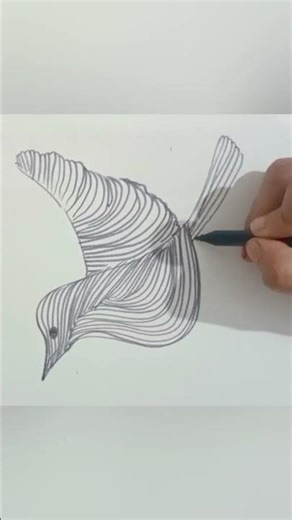 Line Drawing#fun#easy#shorts