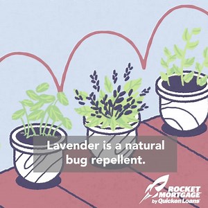 In honor of Earth Day, here's a tip to help make your home more environmentally friendly! 🏡🌎 | Rocket