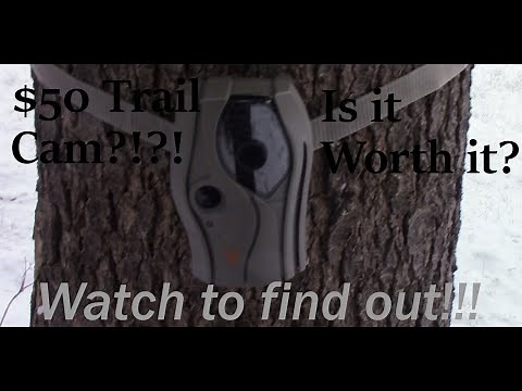 WGI Switch Lightsout Trail Camera Review
