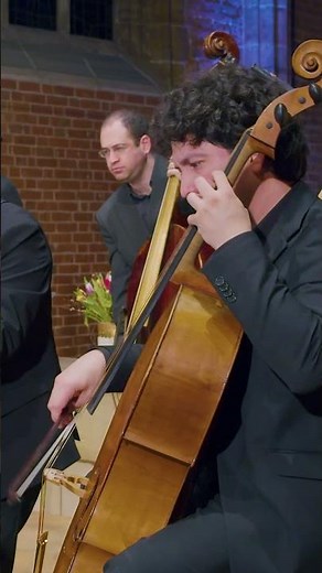 Vivaldi’s wild hunt 🎵❤️ #vivaldi #violin #fourseasons #autumn #orchestra