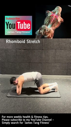 Rhomboid stretch all fours #backpain #rhomboids #midbackpain #stretching #flexibility #shoulderpain