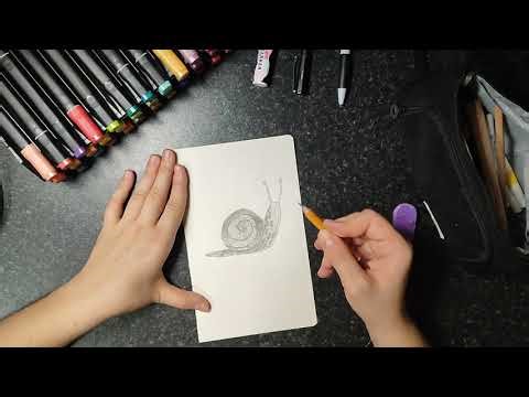How to Draw a Snail | Easy Step-by-Step Tutorial for Kids and Beginners
