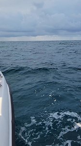 2.4K reactions · 70 shares | Private speed boat: tour නම් ඉතින්. #WWC තමයි.♥️♥️.. Cantata : 775914835  | Wwc Mirissa | Facebook