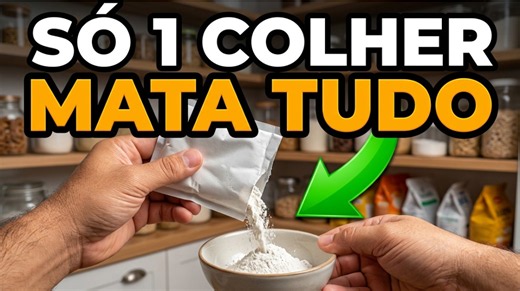 2 truques simples para se livrar dos ratos de uma vez