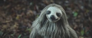 SLOTHERHOUSE Trailer | Movie Trailers and Videos