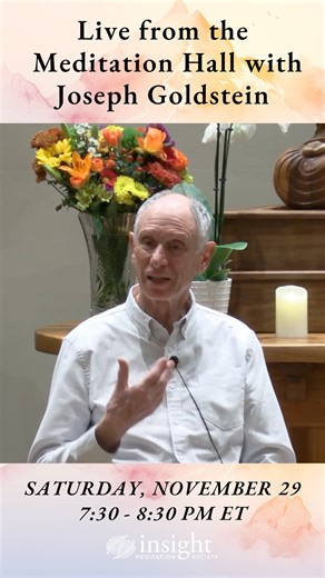 This Saturday, November 29, join us for Part Two of Joseph Goldstein’s live teachings during this year’s Three-Month Retreat. These dharma talks are livestreamed directly from the meditation hall at IMS for a “fly on the wall” online experience from home 🦋 This clip from Part One of Joseph’s talks offers a new perspective on letting go versus letting be. Come share in this evening of dharma, stillness, and community. Learn more at the link in the comments below 🧡 #josephgoldstein #dharma | Ins