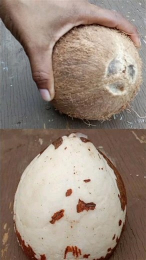 How To Easily Remove Coconut Meat From Its Shell #kitchenhacks #coconut