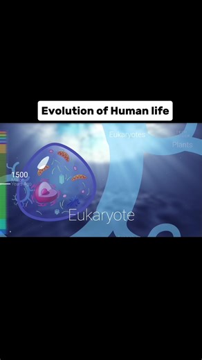 Amazing 😳 #evoultion #human #foryou