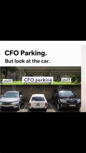 Deciphering the True Signs of CFO Roles