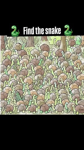 Find the 🐍 #puzzle #puzzles #puzzletime #puzzlelover #puzzlemania | RVPuzzlesWorld