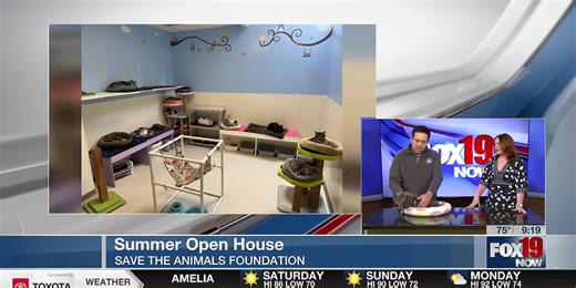 Save the Animals Foundation opens doors for summer open house