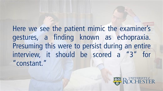Echopraxia _ Echolalia _ Bush-Francis Catatonia Rating Scale _