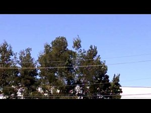 High Voltage Power Lines Explode Above Me