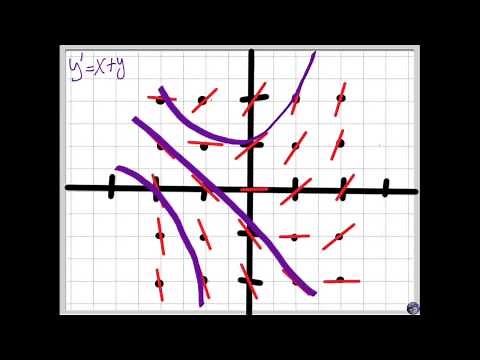 Initial Conditions and Slope Fields
