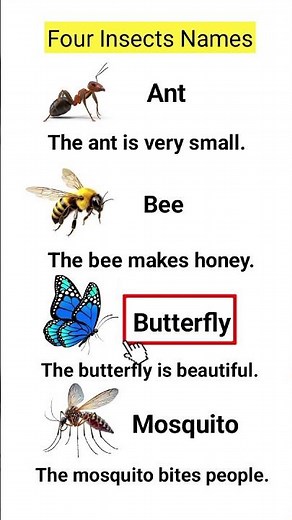 Master English with Fluent Academy: Four Insects with Short Sentences! #LearnEnglish #speakenglish