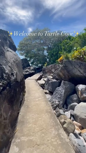 3.3K views · 49 reactions | ✨WELCOME TO TURTLE COVE✨ Our beautiful...