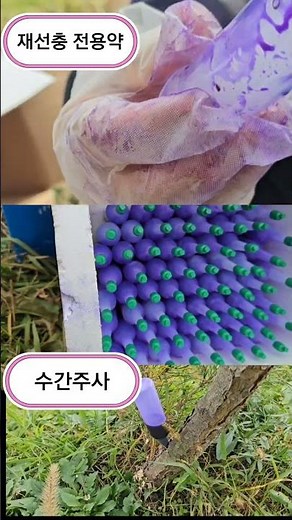 소나무 재선충 예방 수간주사 용기 재활용 비용절감