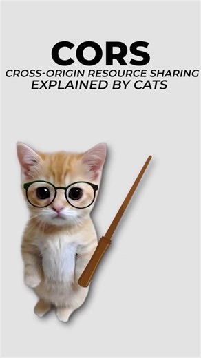 coding.kitty on Instagram: "CORS, explained by cats. #cat #cors #webdev #software #coding #programming"