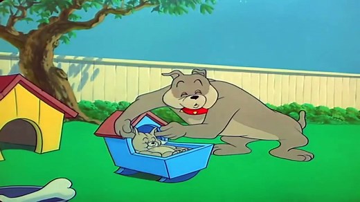 Tom and Jerry & Dog