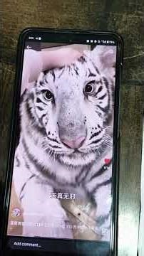 Watch till the end. #shorts