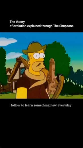 Knowledgeable Videos on Instagram: "In 2006, The Simpsons featured a short, musical segment that humorously explained the theory of evolution in a highly condensed form during the Treehouse of Horror XVI episode, showing Homer rapidly moving through different stages of human evolution, and although the scene was brief, it captured the core idea of evolutionary progression so clearly that it is often remembered as The Simpsons explaining evolution in under a minute."