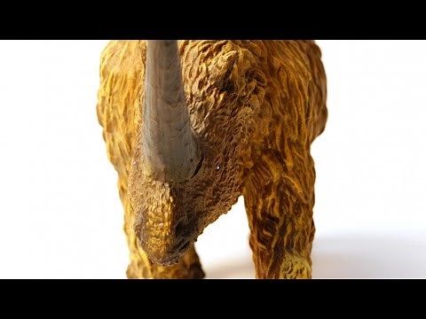 Strange Extinct Creatures That Weren't Dinosaurs