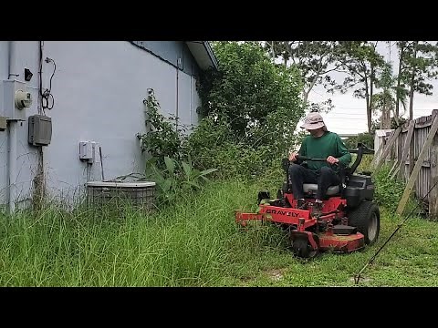 Property Abandoned for YEARS | Incredible Transformation of OVERGROWN Lawn