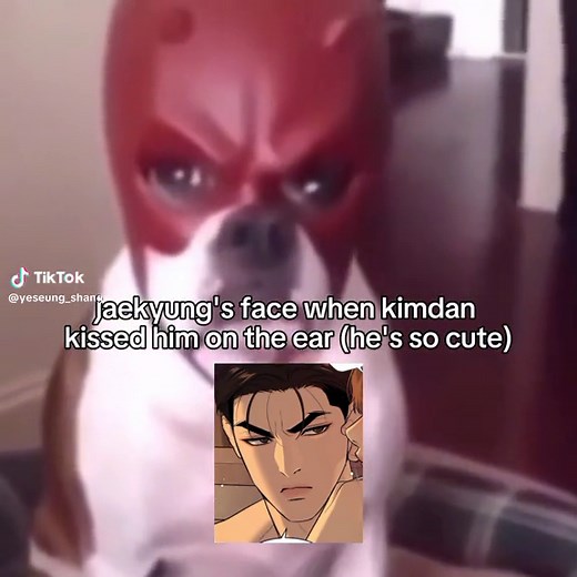 Cute Anger and Laughter: Jinx Chapter 44 | Jaekyung, Kim Dan