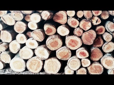 wood pelling work # hard work