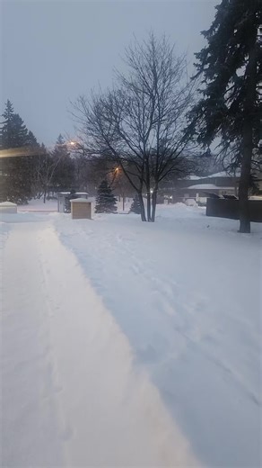 #fypシ #foryourpages #pinaybeauty🇵🇭 #canada🇨🇦