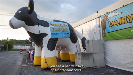 We Animals Founder Jo-Anne McArthur joined Woodstock Farm Sanctuary to record what animals go through at the New York State Fair, including its live birthing center, where very pregnant dairy cows are made to give birth in front of crowds. “Staff, volunteers, and farmers offer a wide range of reactions to people with big cameras. Media are generally in support of the Fair, but some years, there are dissenters, like me, intent on documenting a different point of view than the one presented by the
