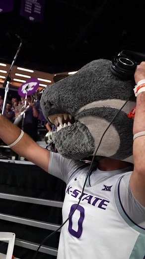 Meet Willie: The Kansas State Mascot