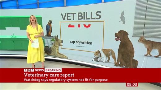 Vets will be made to publish price lists and reveal if they are part of a larger vet group, in measures recommended by the UK's competition watchdog. Emma Vardy had more details on #BBCBreakfast https://www.bbc.co.uk/news/articles/c201r14z6r3o | BBC Breakfast
