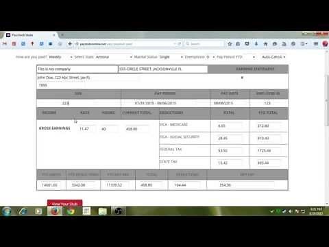 How to make a pay stub | free preview