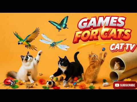 CAT GAMES 🐾 3D Cat TV Mouse Chase – Realistic Mouse Run! 🐭 | 3 Hours 4K60FPS
