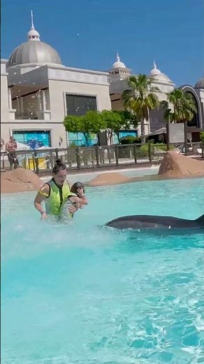 Dolphin Encounter 🐬 | Amazing Dolphin Moment for Kids | Kids Short