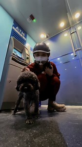 745 reactions · 64 comments | Đơn giản dễ hiểu mà :)) | Cô Hai Cà Mau | Facebook