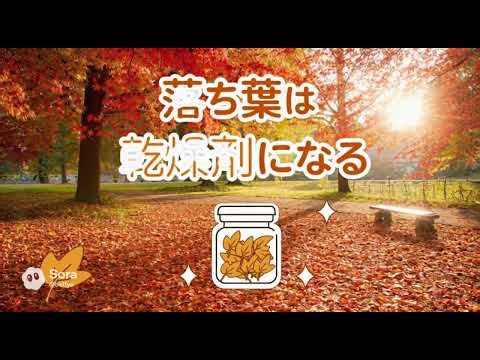 知って得する10秒豆知識 #一分でわかる #ライフハック #プチ知識 #ショート #雑学知識 #自慢