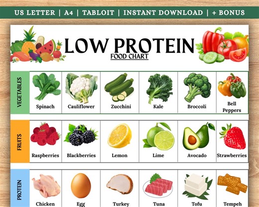 Low Protein Food Chart: Diabetes & Pre-diabetes Grocery List (PDF Printable A4/US Letter Size) - Etsy