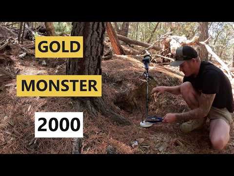 Great Gold Found With The Gold Monster 2000
