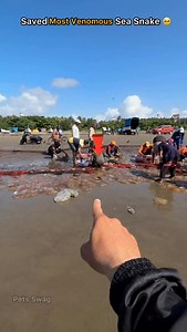 242K views · 33K reactions | Love the ocean, protect its creatures 梁 #sea #ocean #animals #rescue | Nomadbogati | Facebook