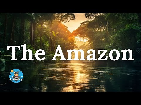 Escape to the Enchanting Beauty of the Amazon Rain Forest