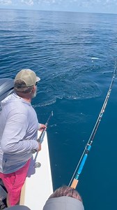 23K views · 141 reactions | This tasty fish lives 1500ft on the bottom. | Pompano Brock | Facebook