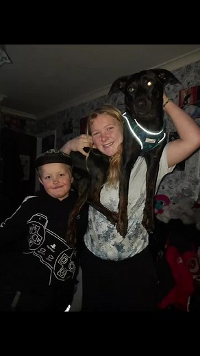 Barbara Scott (@barbarascott63)’s videos with Let It Snow! Let It Snow! Let It Snow! - Dean Martin