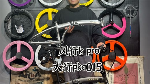 大行pka015风行kpro您怎么看怎么选