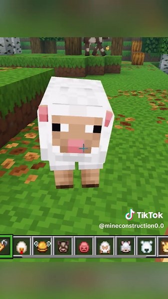 Motivos para usar Actions & Stuff no Minecraft