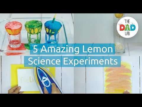 5 Cool Lemon Science Experiments
