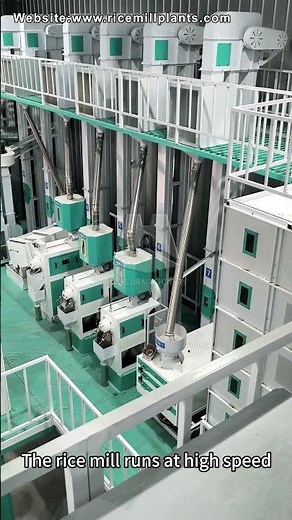 40T/D Rice Mill Plant in Action | Top-Quality Rice Processing Machines by Co-Grain Grain Machinery