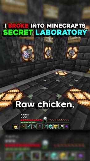 We Found The Truth behind Minecrafts Most Secure Laboratory