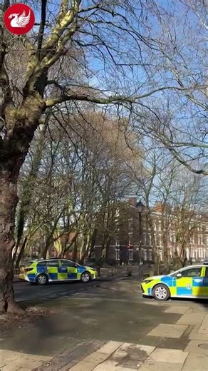 🚨 Man dies after 'attempted police stop' crash in Liverpool